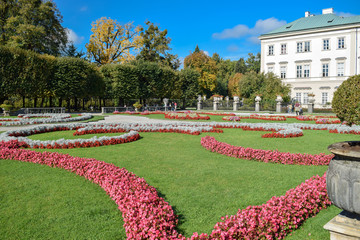 Pattern of flowers and alley of green trees in Salzburg Austria in autumn