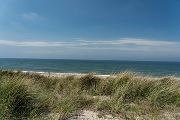 Fototapeta na wymiar Sylt - View to Grass Dunes and Beach at Wenningstedt / Germany
