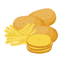 Potatoes. vector illustration. Set of whole, slices, half and French fries potatoes. 
