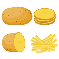 Potatoes. vector illustration. Set of whole, slices, half and French fries potatoes. 