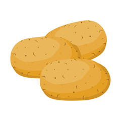 Raw potatoes vector illustration. on white BG