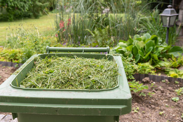 Rasen in der Griessli ünen Tonne - Recycling Box im Garten