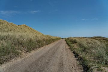 Sylt - View grass dunes alongside to hiking path, / Germany