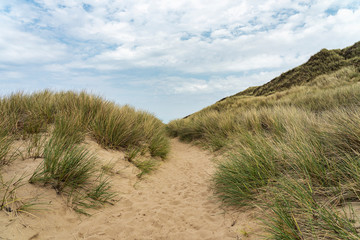 Sylt - View to Grass- and Sand-Dunes at Kampen Cliff / Germany