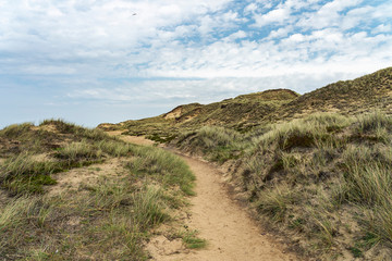 Sylt -Awesome View to Grass- and Sand-Dunes at Kampen Cliff / Germany