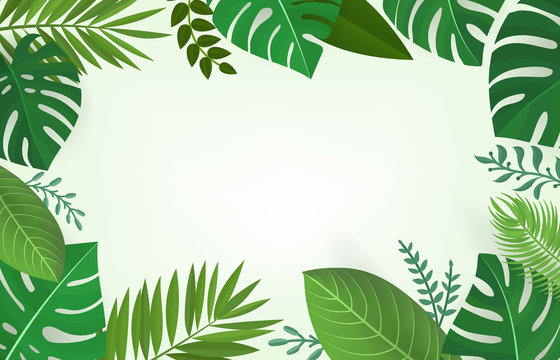 Summer season composition with green tropical leaves