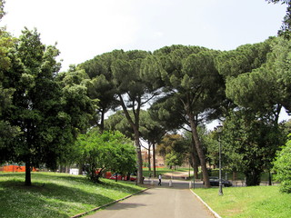 Park in front of the Coliseum in Rome