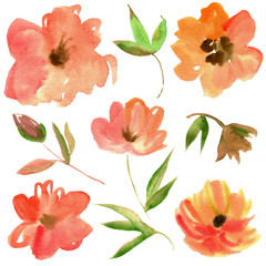 Watercolor floral elements for design of invitations, greeting cards. Orange bright flowers