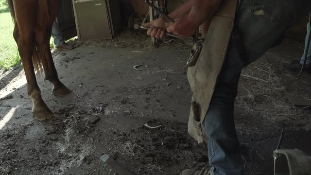 Slow motion of horse farrier using a nippers to trim a horse's hoof a large junk falling to the ground (120fps to 30fps).