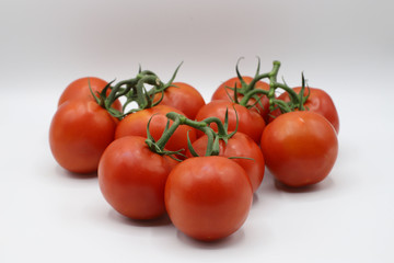 tomatoes on white background