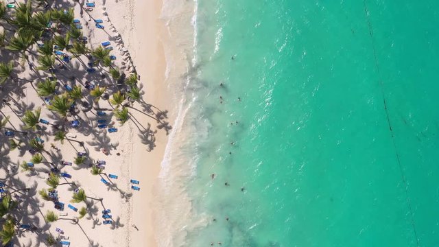 Aerial view from drone on seashore with resorts. Tropical destination for travel and summer vacations. People faving fun on caribbean beach with palm trees and sunbeds