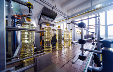 Bottling line of sunflower oil in bottles. Vegetable oil production plant. High technology.