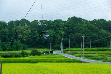 Obraz premium 真夏の雨