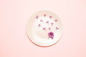 Fresh pink plate with white lilac flower on a pink background