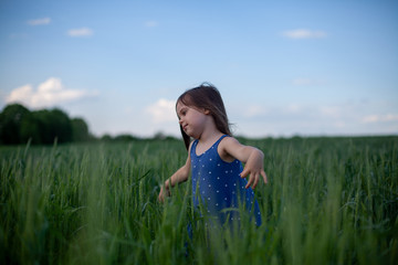 Happy girl walking in green wheat, enjoying the life in the field. Nature beauty, blue sky and field of wheat. Freedom concept