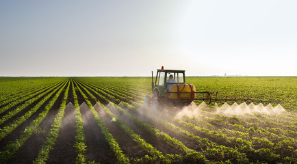 Tractor spraying soybean field - obrazy, fototapety, plakaty