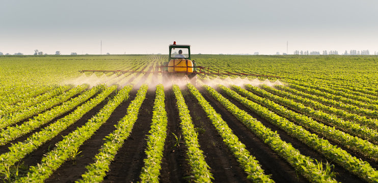 Tractor Spraying Soybean Field