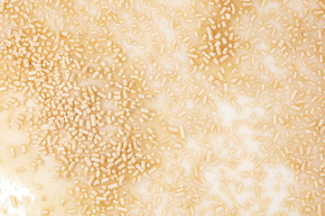 Yeast in dough as background