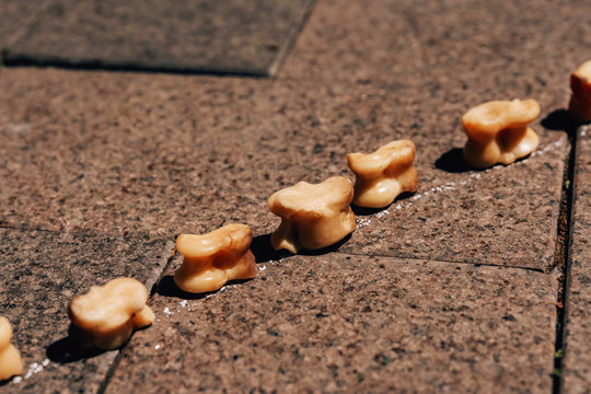 Game Altchiki. Kazakh national game Asyk. Kyrgyz dice game. National Game in Central Asia