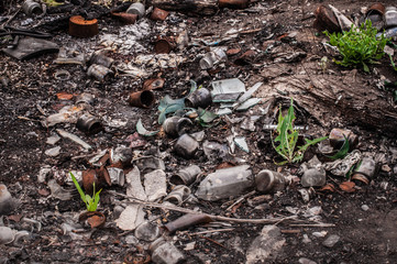 Burned garbage on soil with green grass growing throuh it