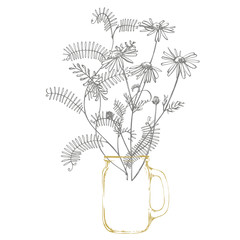 Obraz premium Branch of wild plant Vicia cracca. Tufted Vetch or Vicia cracca, vintage engraved illustration. Bouquet of hand drawn flowers and herbs. Botanical plant illustration.