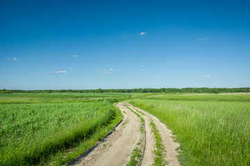 Fototapeta na wymiar Winding sandy road through green fields and meadows, forest on the horizon and blue sky