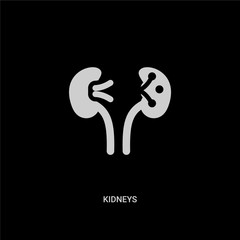 white kidneys vector icon on black background. modern flat kidneys from medical concept vector sign symbol can be use for web, mobile and logo.
