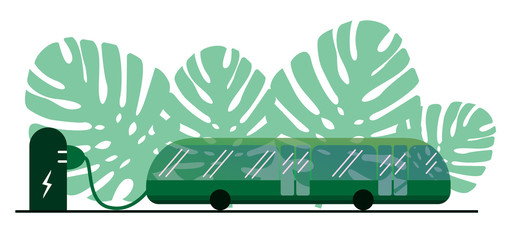 An electric bus of green color on the background of green leaves of Monstera is charged by electricity. Bus recharging standing at the bus stop. Ecological public transport.