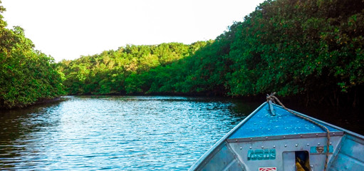 Passeio de barco sobre o rio jequitinhonha indo da cidade de canavieiras para belmonte.