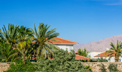 Fototapeta na wymiar outskirts villa with palm trees garden living apartment house somewhere in Israeli desert warm natural environment 