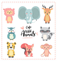 Cute nursery wild animal pastel hand drawn collection, llama, elephant, reindeer, owl, raccon, tiger, squirrel, monkey