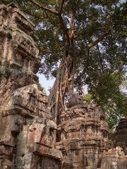 Naklejka premium Temples at Angkor Wat in Siem Reap, Cambodia