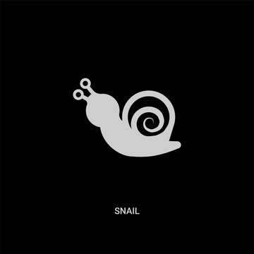 white snail vector icon on black background. modern flat snail from nature concept vector sign symbol can be use for web, mobile and logo.