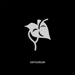 white anthurium vector icon on black background. modern flat anthurium from nature concept vector sign symbol can be use for web, mobile and logo.