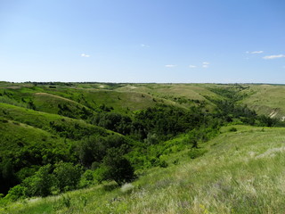steppe landscape