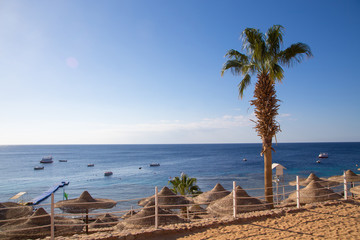SHARM EL SHEIKH, EGYPT - March 18, 2019: Red Sea Coast, Concord Hotel. Beach with umbrellas, sun beds and palm trees. Background tourism and travel. Rest and vacation.