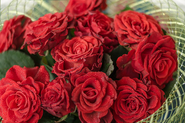 Red Roses