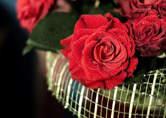 Red Roses