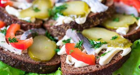 Healthy food rye bread with cheese, cucumber, tomatoes and greens. Close up view