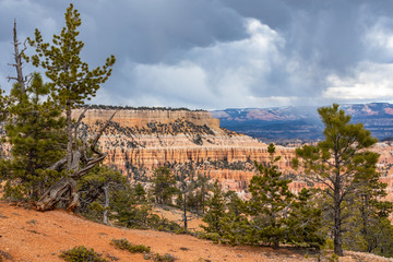 bryce 2