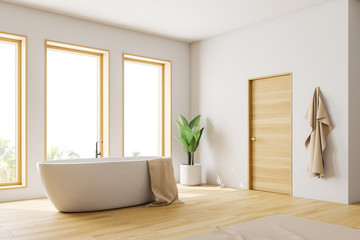 Loft white bathroom corner with tub