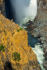 African Fish Eagle (Haliaeetus vocifer), Victoria Falls or Mosi-Oa-Tunya, Zambia and  Zimbabwe,...