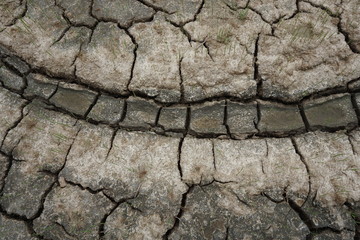 cracked earth texture