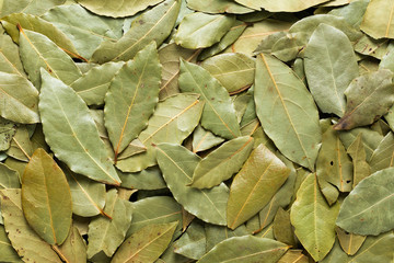Food Green background concept organic shade of dried bay leaf  texture