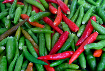 Organic red and green bird's eye chili, bird eye chili, bird's chili, chile de arbol, or Thai chili...