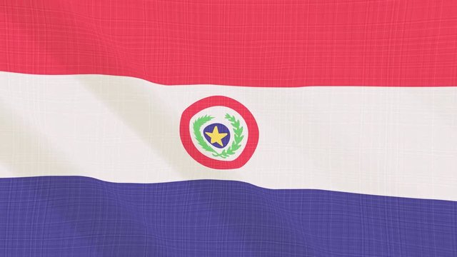 Paraguay flag waving in the wind. Background with rough textile texture. Animation loop
