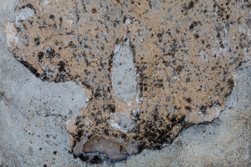 Old Weathered Damaged Concrete Wall Texture