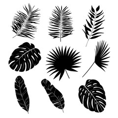 Silhouettes of tropical leaves set. Exotic leaf collection. Vector illustration.