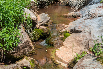 Beautiful Scene of Small Creek With Small Waterfall in The Forest