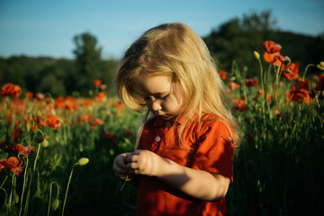 Cute child. Lovely boy son with long hair. Baby face. kid on nature summer field.